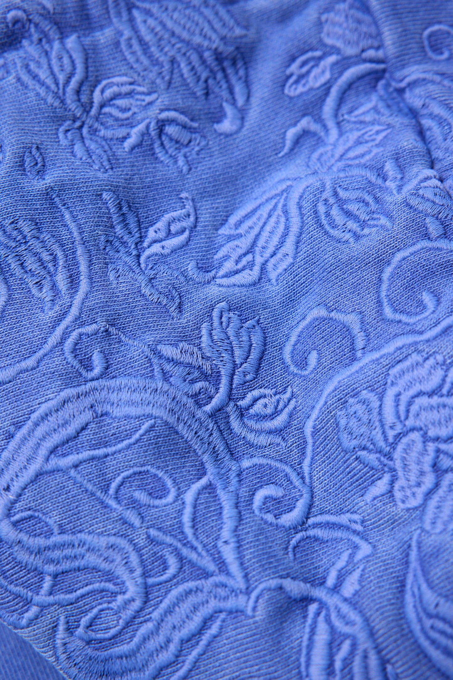 DELUXE x Evisen Botanic HOODIE BLUE